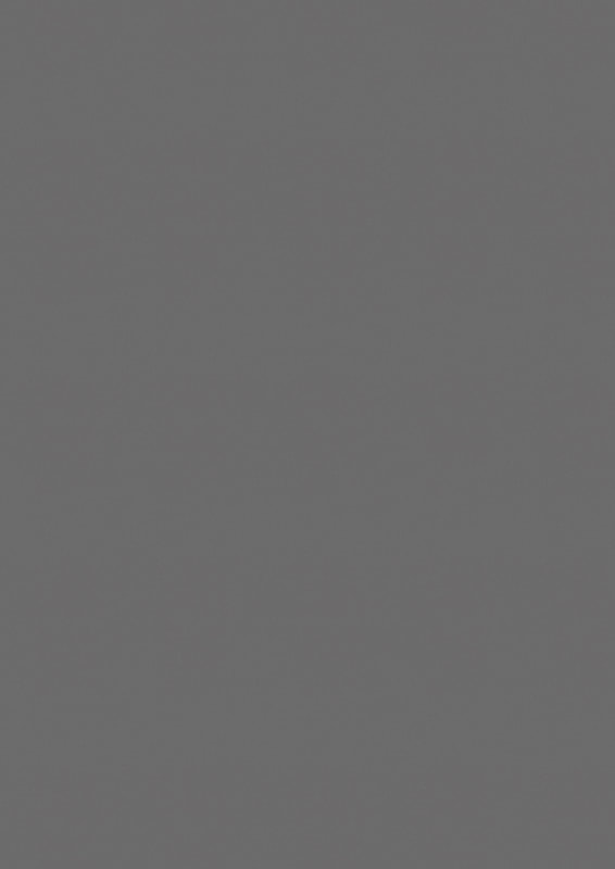 F463 ST20 PLATINUM GREY METALLIC