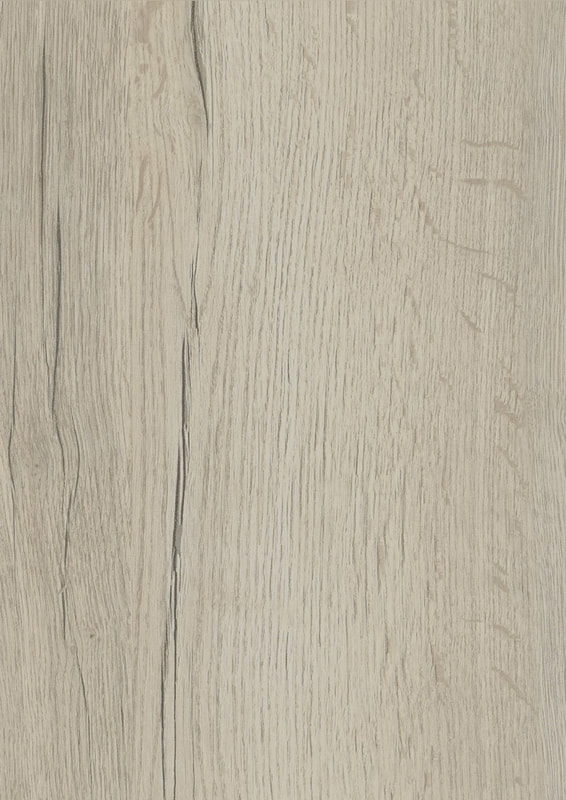 H1176 ST37 WHITE HALIFAX OAK