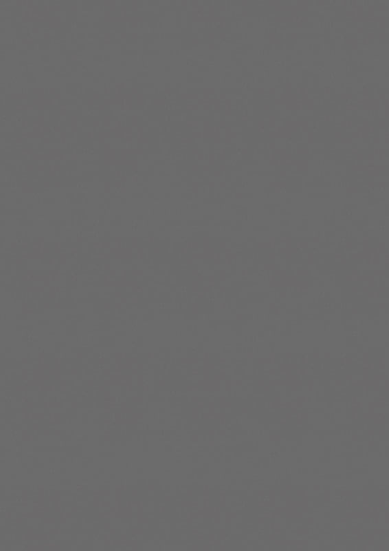 F463 ST20 PLATINUM GREY METALLIC