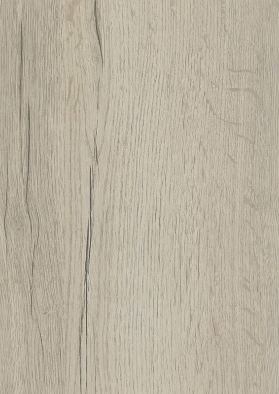 H1176 ST37 WHITE HALIFAX OAK