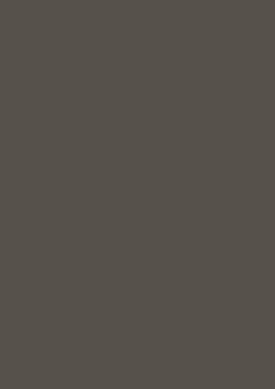 U741 PM LAVA GREY MATT