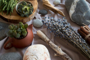 Nature-Inspired Materials