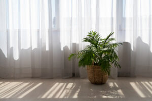 Biophilic Lighting Solutions