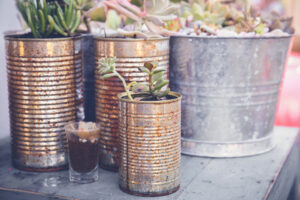 Tin Can Planters